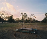 City-Park-New-Orleans-Nov